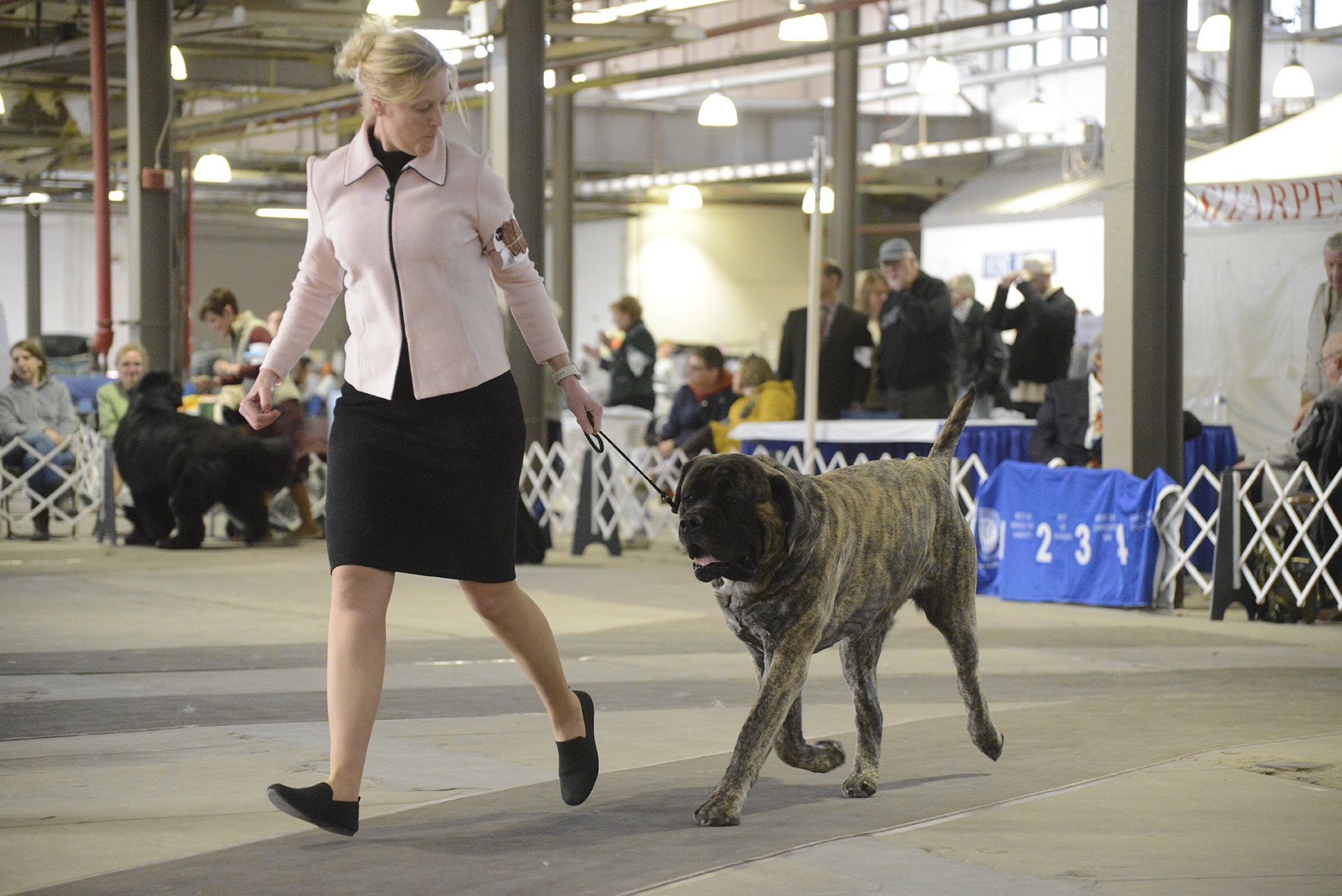 _RDP0588.JPG